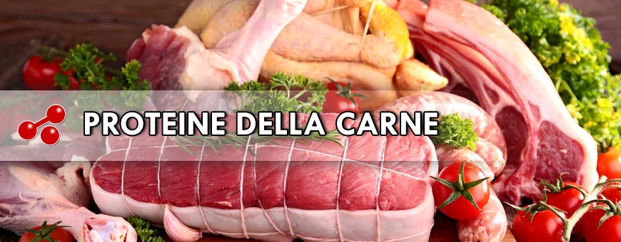 PROTEINE DELLA CARNE